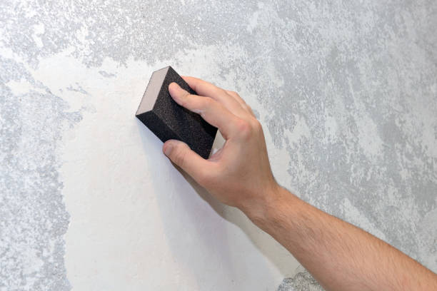 Best Mold Damage Restoration  in Mayo, FL