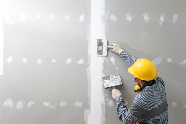 Best Mold Remediation for Healthcare Facilities  in Mayo, FL