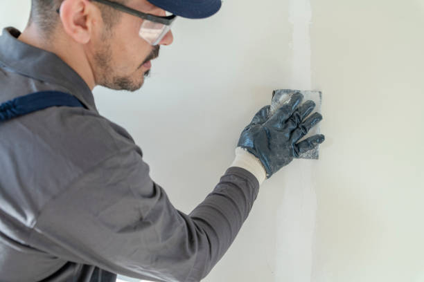 Best Basement Mold Removal  in Mayo, FL