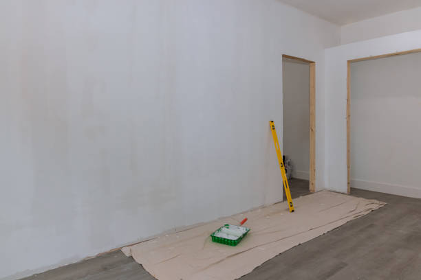 Professional Mold Removal in Mayo, FL