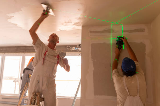 Best Mold Removal for HVAC Installations  in Mayo, FL