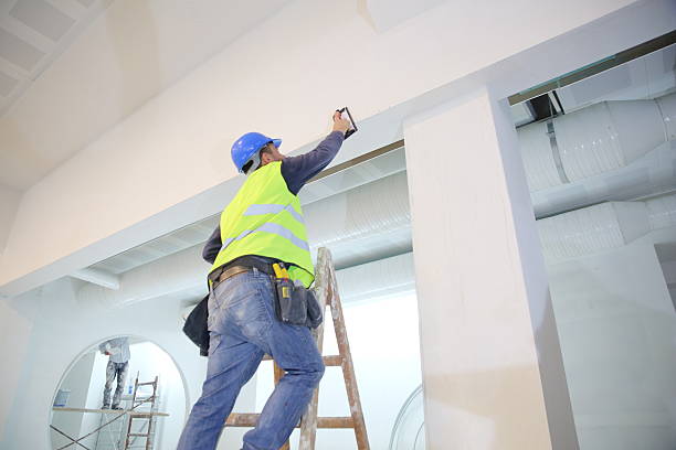 Best Emergency Mold Remediation  in Mayo, FL