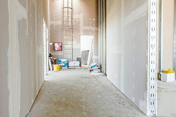  Mayo, FL Mold Removal Pros