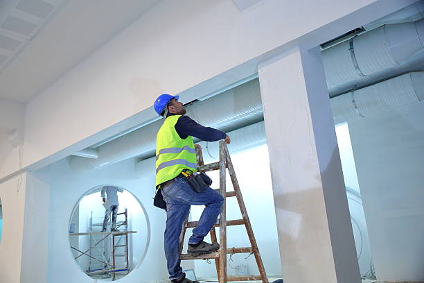 Best Airborne Mold Testing  in Mayo, FL